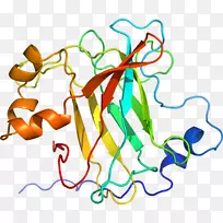 有机体线人类行为点剪贴画线-空若网 有机体线人类行为点剪贴画线-空若网