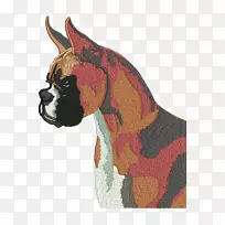 犬种拳击手鼻子-空若网 犬种拳击手鼻子-空若网