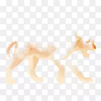 狮子、狗、猫、犬科、鼻子-狮子-空若网 狮子、狗、猫、犬科、鼻子-狮子-空若网