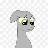 胡须,猫,马,鼻子,狗-猫-空若网 胡须,猫,马,鼻子,狗-猫-空若网