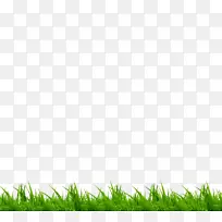 �̲�-������