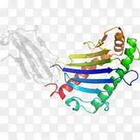 �ߵ������-��-������