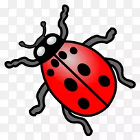 瓢虫昆虫剪贴画-昆虫-空若网 瓢虫昆虫剪贴画-昆虫-空若网
