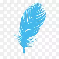 羽毛颜色羽毛-空若网 羽毛颜色羽毛-空若网