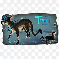 狗鼻子-狗-空若网 狗鼻子-狗-空若网