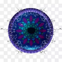 ԲȦ-¿ÕÈôÍø ԲȦ-¿ÕÈôÍø