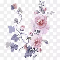 花画-菊花-空若网 花画-菊花-空若网