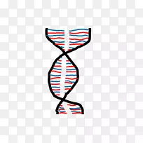 服装配饰线时尚剪贴画线-空若网 服装配饰线时尚剪贴画线-空若网