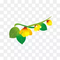 Ë®²Ê»-ÂÌÒ¶-¿ÕÈôÍø Ë®²Ê»-ÂÌÒ¶-¿ÕÈôÍø