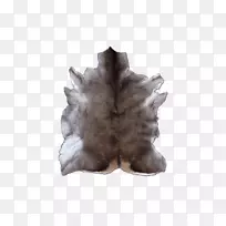 树毛-空若网 树毛-空若网