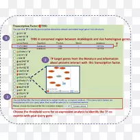 线点字体线-空若网 线点字体线-空若网