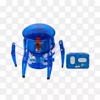 ����֩�����������֩��-������