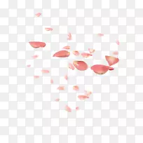 花瓣粉红色花红色花瓣-空若网 花瓣粉红色花红色花瓣-空若网