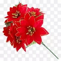 切花-空若网 切花-空若网