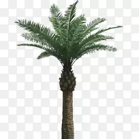 ����-�����-������