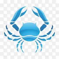 切萨皮克蓝蟹癌症星座标志-螃蟹-空若网 切萨皮克蓝蟹癌症星座标志-螃蟹-空若网