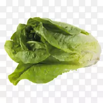 莴苣菠菜叶莴苣蔬菜-空若网 莴苣菠菜叶莴苣蔬菜-空若网