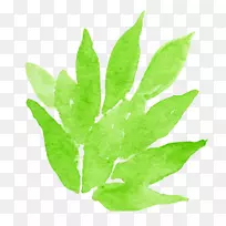 ˮ�ʻ����ʻ�ˮ�ʻ���Ҷ��-������