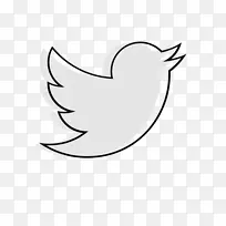 摄影版税-免费转发-空若网 摄影版税-免费转发-空若网