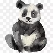 考拉大熊猫水彩画-大熊猫-空若网 考拉大熊猫水彩画-大熊猫-空若网