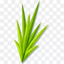 ��ɫ��ͨ��-������