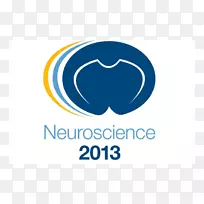 神经科学学会神经学家研究神经系统-澳大利亚神经科学研究-空若网 神经科学学会神经学家研究神经系统-澳大利亚神经科学研究-空若网