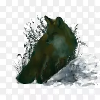 红狐动物鼻子野生动物狐狸新闻-Beograd-空若网 红狐动物鼻子野生动物狐狸新闻-Beograd-空若网