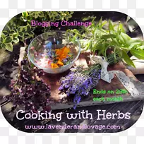 蕃茄汤馅,草本植物,素食食谱-烹饪-空若网 蕃茄汤馅,草本植物,素食食谱-烹饪-空若网