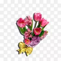 郁金香花-郁金香-空若网 郁金香花-郁金香-空若网