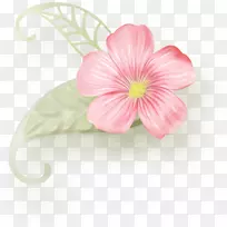 花卉设计切花画册设计-空若网 花卉设计切花画册设计-空若网