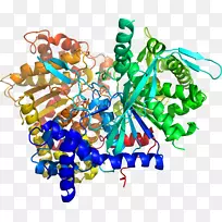 艺术身体珠宝有机体剪贴艺术珠宝首饰-空若网 艺术身体珠宝有机体剪贴艺术珠宝首饰-空若网