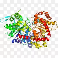 �����߲������鱦�л��������-�߲�-������