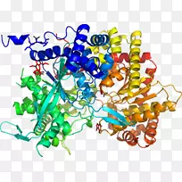 艺术身体珠宝有机体线剪贴画线-空若网 艺术身体珠宝有机体线剪贴画线-空若网