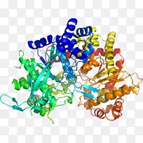珠体珠宝有机体字体珠宝-空若网 珠体珠宝有机体字体珠宝-空若网