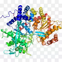 人体首饰有机体线剪贴画线-空若网 人体首饰有机体线剪贴画线-空若网