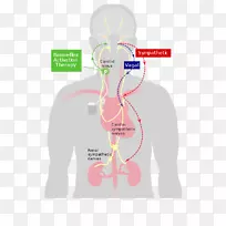 ѹ�����������ྱ����񼸱������ϵͳ-����-������