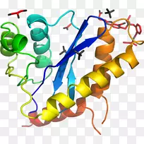 �ߵ������������-������