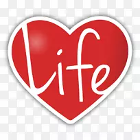 保险杠贴标广告-LGBT心脏-空若网 保险杠贴标广告-LGBT心脏-空若网