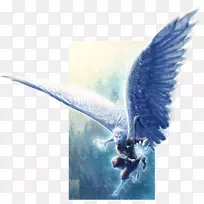 台式壁纸电脑羽毛嘴-电脑-空若网 台式壁纸电脑羽毛嘴-电脑-空若网