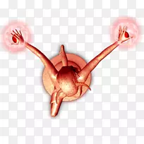 昆虫肌肉害虫-空若网 昆虫肌肉害虫-空若网