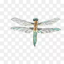 水彩画.创造性手绘蜻蜓-空若网 水彩画.创造性手绘蜻蜓-空若网