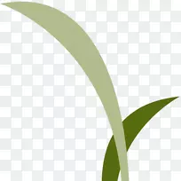 叶标草字体-校园风-空若网 叶标草字体-校园风-空若网