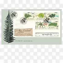 ֽ������������-������