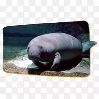 ����Ⱥ�������ﺣ��½�����ﺣ��-������