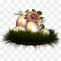 Ê¥µ®×°Êλ¨-Ê¥µ®½Ú-¿ÕÈôÍø Ê¥µ®×°Êλ¨-Ê¥µ®½Ú-¿ÕÈôÍø