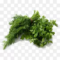 Å·ÇÛDillÊß²ËÉ«À-Êß²Ë-¿ÕÈôÍø Å·ÇÛDillÊß²ËÉ«À-Êß²Ë-¿ÕÈôÍø