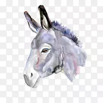 ±±ÃÀ¿×ÓË®²Ê»Â¿-¿ÕÈôÍø ±±ÃÀ¿×ÓË®²Ê»Â¿-¿ÕÈôÍø