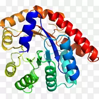 人体首饰有机体线剪贴画线-空若网 人体首饰有机体线剪贴画线-空若网