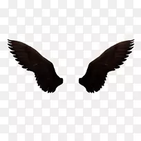 图标-黑暗的翅膀-空若网 图标-黑暗的翅膀-空若网