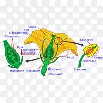 ����ֲ����ͷֲ�ﷱֳ����-��-������